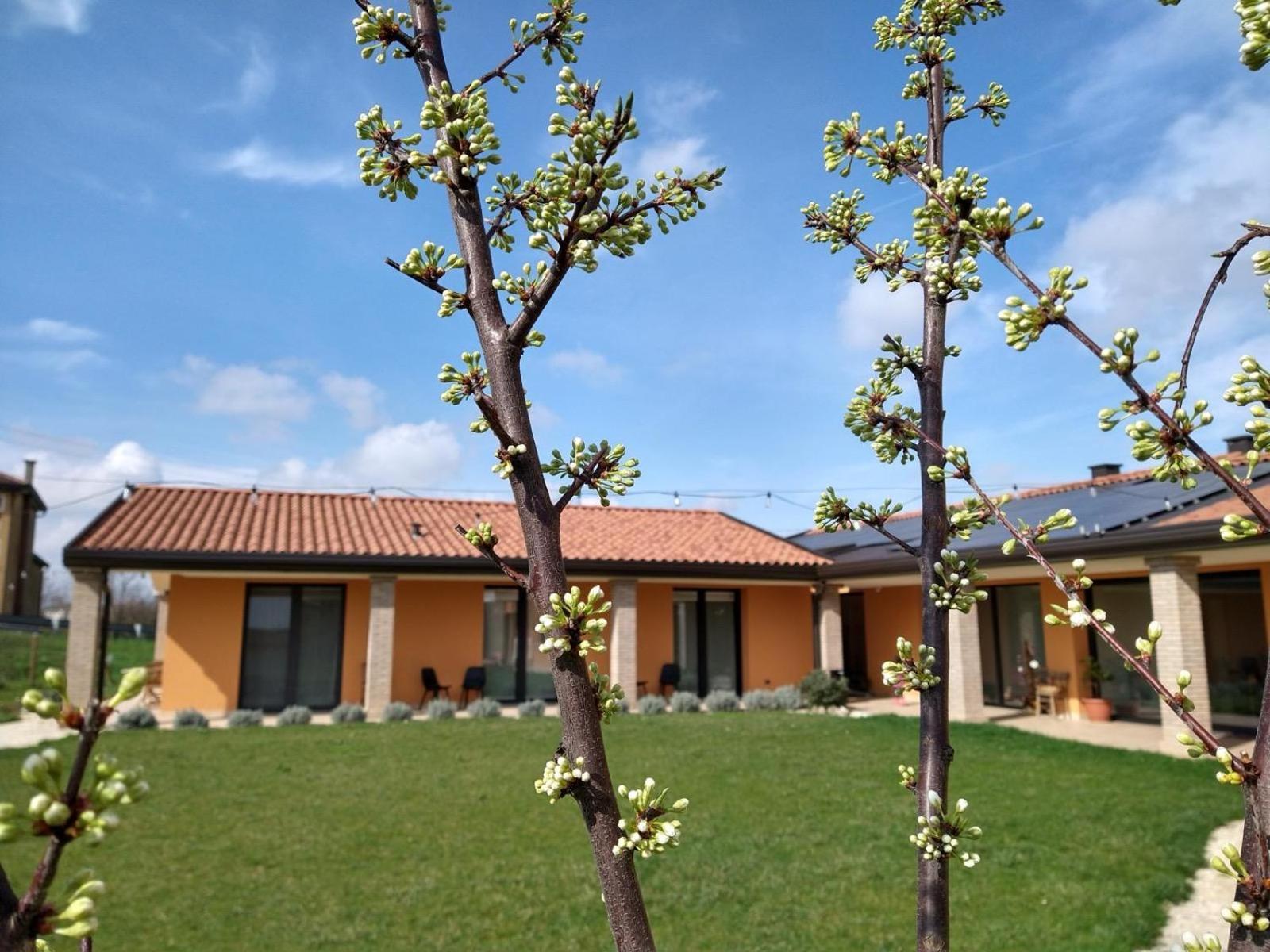 Agriturismo Verdecielo Πάδοβα Δωμάτιο φωτογραφία